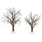 Dept 56 2017 Winter Flurries Bare Branch Trees #4059770 FREE SHIP 48 STATES